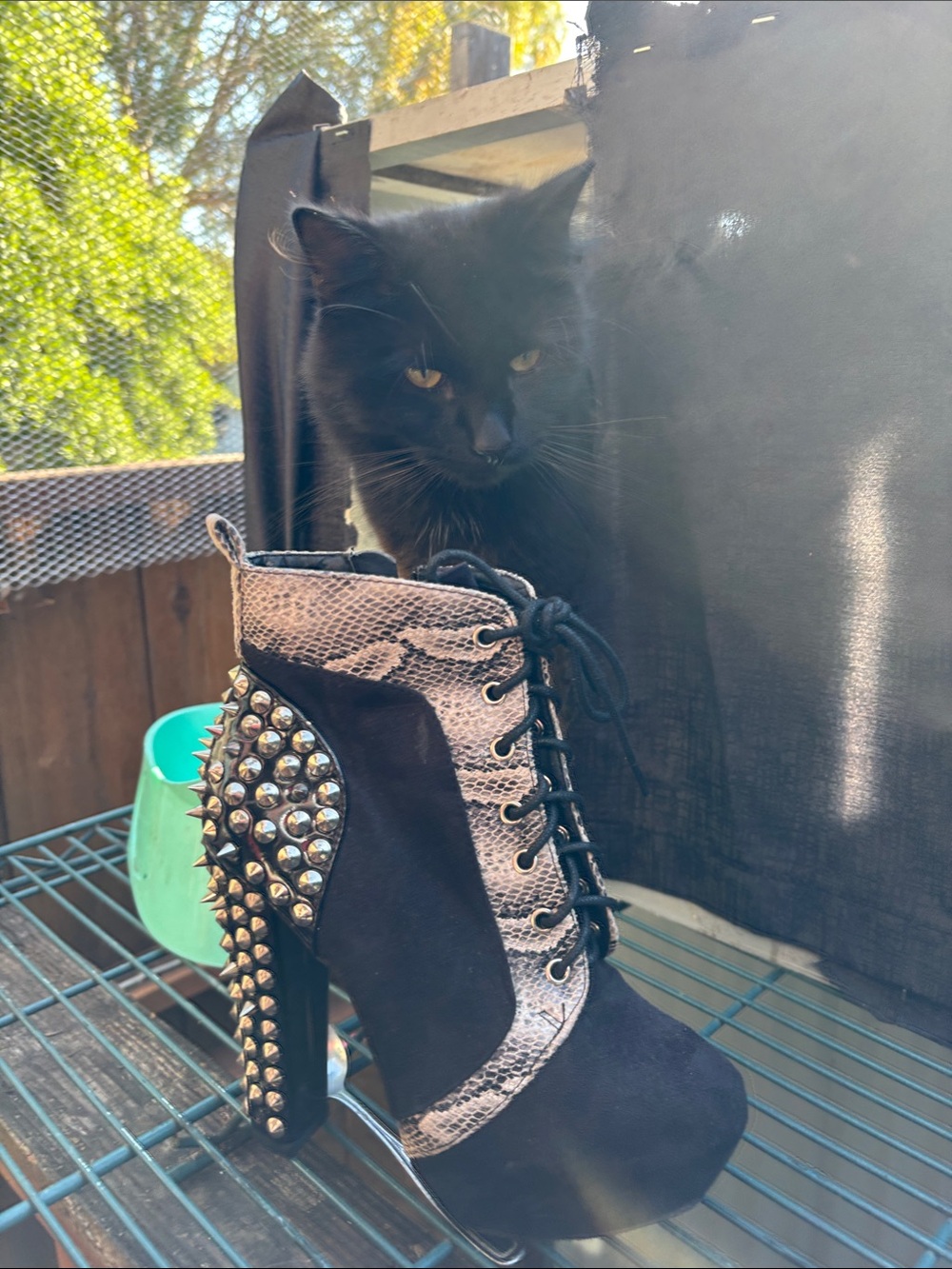 DIVA Lounge Black Suede & Snakeskin Lace-Up Studded Ankle Boots